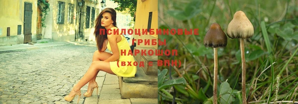 соль ск Балахна